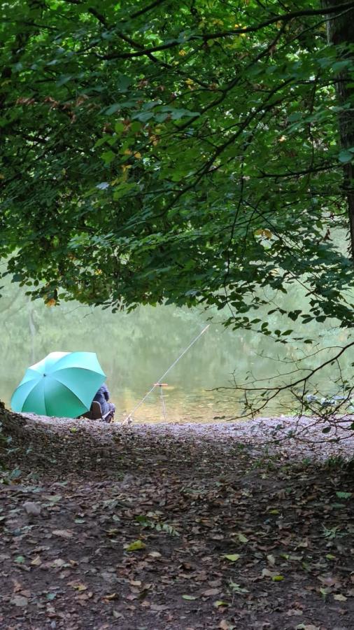 Wye Rapids House Bed & Breakfast Symonds Yat Bagian luar foto